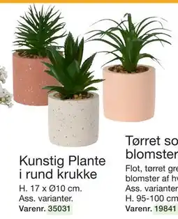 Harald Nyborg Kunstig Plante i rund krukke, DKK 19 tilbud