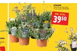 jem & fix STAUDE, DKK 39.5 tilbud