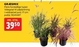 jem & fix GRÆSMIX, DKK 39.5 tilbud