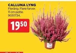 jem & fix CALLUNA LYNG, DKK 19.5 tilbud