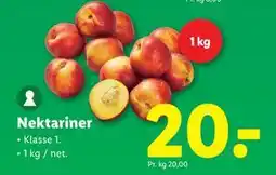 Lidl Nektariner, DKK 20 tilbud