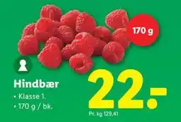 Lidl Hindbær, DKK 22 tilbud