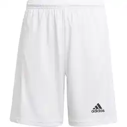 Sport 24 adidas Squad 21 Træningsshorts Børn tilbud