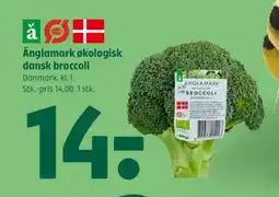 Coop 365 Änglamark økologisk dansk broccoli tilbud