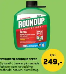 XL-BYG EVERGREEN ROUNDUP SPEED tilbud
