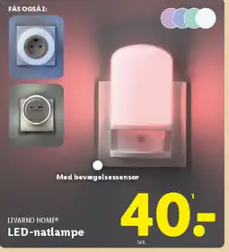 Lidl LIVARNO HOME® LED-natlampe tilbud