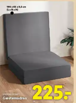 Lidl LIVARNO HOME Gæstemadras tilbud