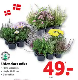 Lidl Udendørs miks tilbud