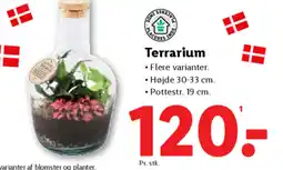 Lidl Terrarium tilbud