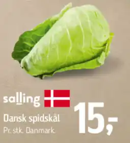 Føtex Dansk spidskål tilbud