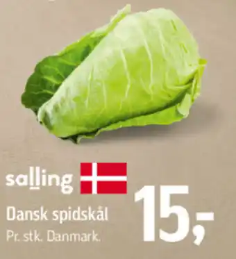 Føtex Dansk spidskål tilbud