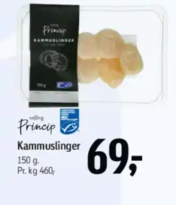 Føtex Salling Princip Kammuslinger tilbud