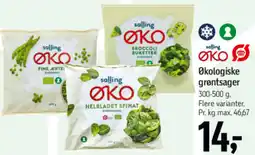 Føtex Økologiske grøntsager tilbud