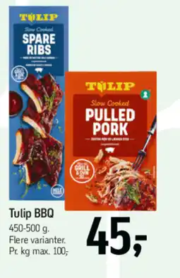 Føtex TULIP BBQ tilbud