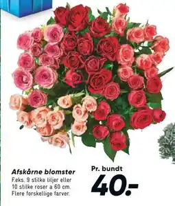 Bilka Afskårne blomster, DKK 40 tilbud