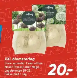 Bilka XXL blomsterløg, DKK 20 tilbud