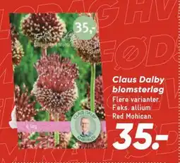 Bilka Claus Dalby blomsterløg, DKK 35 tilbud