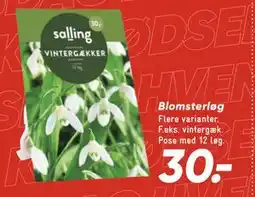Bilka Blomsterløg, DKK 30 tilbud