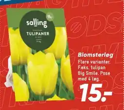 Bilka Blomsterløg, DKK 15 tilbud