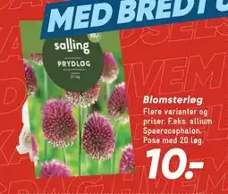 Bilka Blomsterløg, DKK 10 tilbud