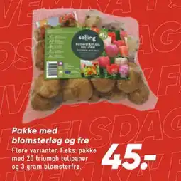 Bilka Pakke med blomsterløg og frø, DKK 45 tilbud
