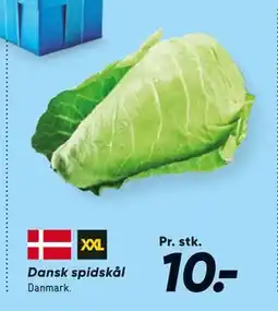 Bilka Dansk spidskål, DKK 10 tilbud