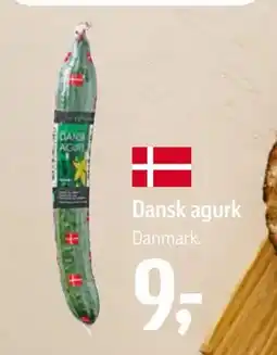 Føtex Dansk agurk, DKK 9 tilbud