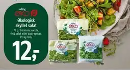 Føtex Økologisk skyllet salat, DKK 12 tilbud