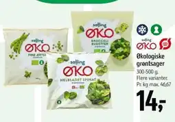 Føtex Økologiske grøntsager, DKK 14 tilbud