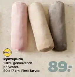 Netto Pyntepude, DKK 89 tilbud