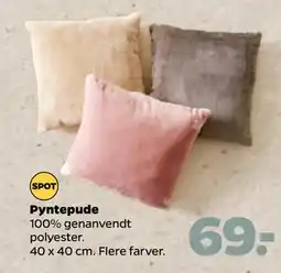 Netto Pyntepude, DKK 69 tilbud