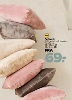 Netto Pyntepude tilbud