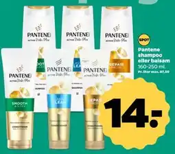 Netto Pantene shampoo eller balsam, DKK 14 tilbud