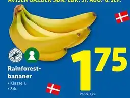 Lidl Rainforestbananer, DKK 1.75 tilbud