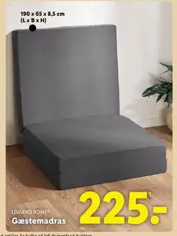 Lidl Gæstemadras, DKK 225 tilbud