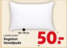 Lidl Kogefast hovedpude, DKK 50 tilbud