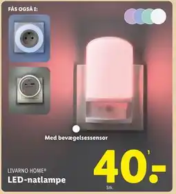 Lidl LED-natlampe, DKK 40 tilbud