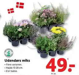 Lidl Udendørs miks, DKK 49 tilbud