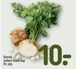 REMA 1000 Dansk selleri med top Pr. stk., DKK 10 tilbud