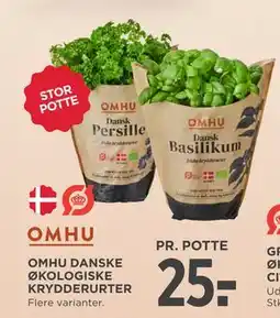 MENY OMHU DANSKE ØKOLOGISKE KRYDDERURTER, DKK 25 tilbud