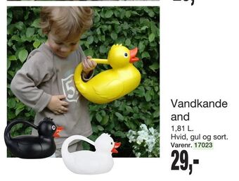 Harald Nyborg Vandkande and tilbud