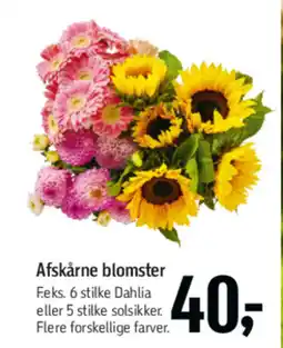Føtex Afskårne blomster tilbud