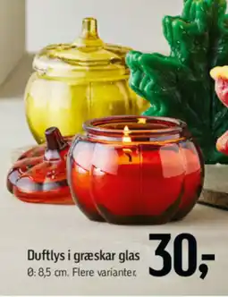 Føtex Duftlys i græskar glas tilbud