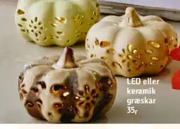 Føtex LED eller keramik græskar tilbud