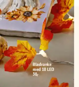 Føtex Bladranke med 10 LED tilbud