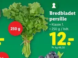 Lidl Bredbladet persille, DKK 12 tilbud