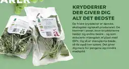 Kvickly KRYDDERIER DER GIVER DIG ALT DET BEDSTE tilbud