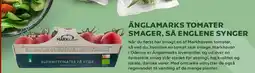 Kvickly ÄNGLAMARKS TOMATER SMAGER, SÅ ENGLENE SYNGER tilbud