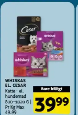 Løvbjerg WHISKAS EL. CESAR Katte- el. hundemad tilbud