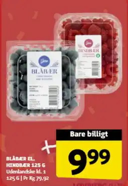 Løvbjerg BLÅBÆR EL. HINDBÆR tilbud